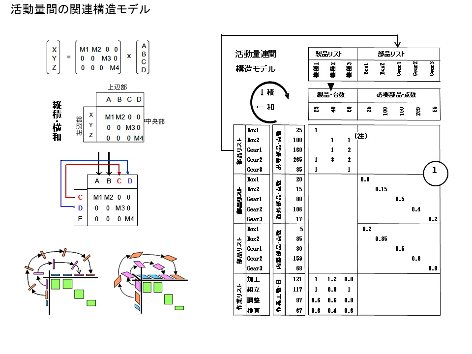 活動量間の関連構造モデル